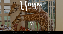 Unique Auction Items